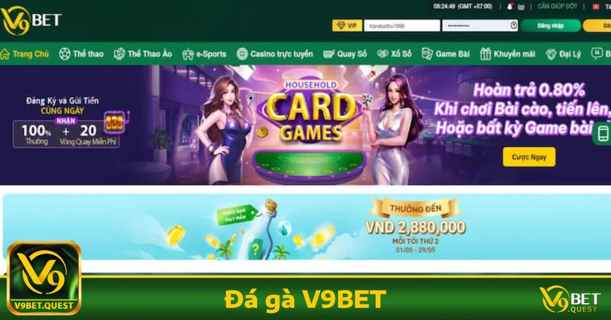 Hướng dẫn tham gia Đá gà V9BET