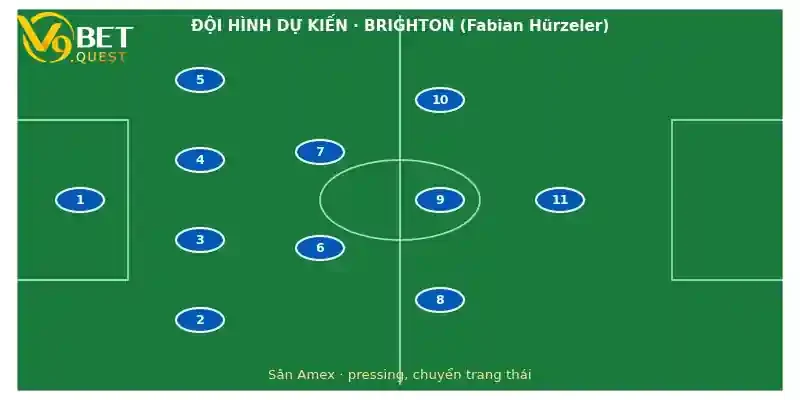 Đội hình dự kiến Brighton vs Crystal Palace